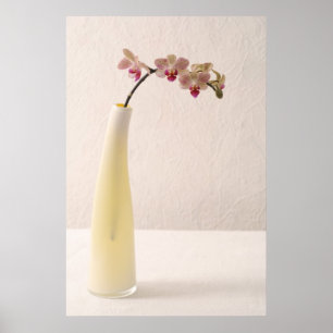Affiche Orchidées