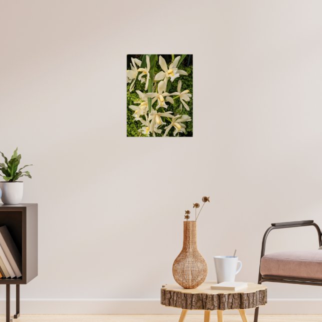 Affiche Orchidées blanches et fougères florales (Salon 3)