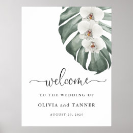 Affiche Orchidées blanches sur Monstera Mariage tropical B