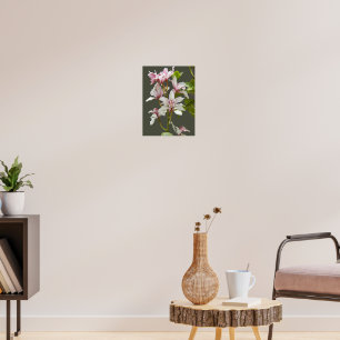 Affiche Orchidées Cymbidium Insigne Rose