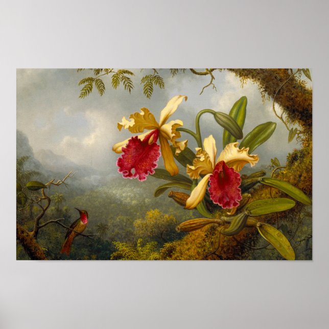 Affiche Orchidées et colibri Heade (Devant)