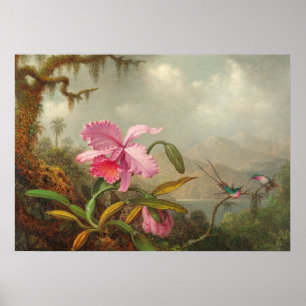 Affiche Orchidées et colibri par Martin Johnson Heade P