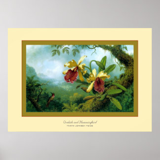 Affiche Orchidées et colibris~ Martin Johnson Heade