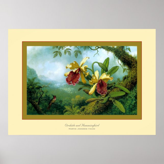 Affiche Orchidées et colibris~ Martin Johnson Heade (Devant)
