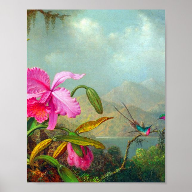 Affiche Orchidées et colibris par Martin Johnson Heade (Devant)