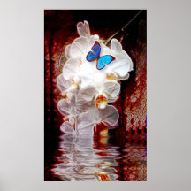 Orchidées et papillon