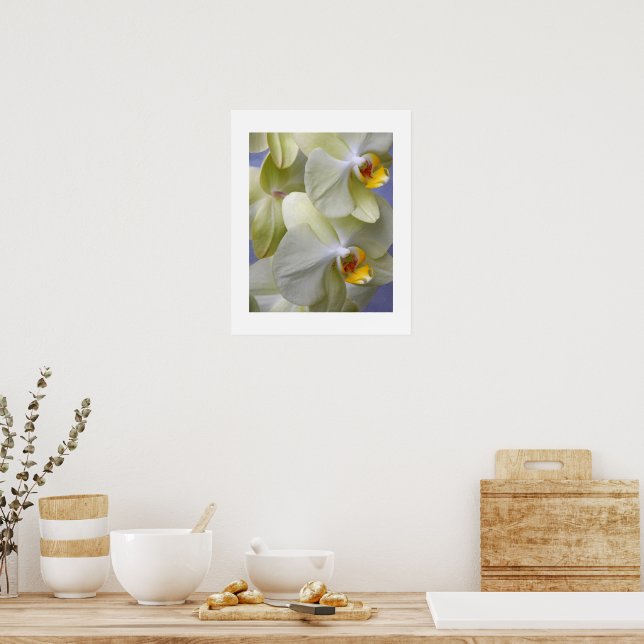 Affiche Orchidées Fleur Mothe Jaune Pâle Floral (Cuisine)