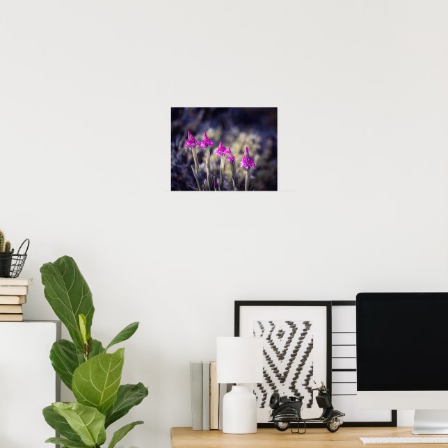 Affiche Orchidées pyramidales sauvages à Malte (Bureau à domicile)