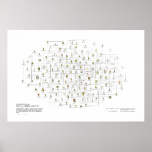 Affiche Ordre naturel des Plantes - Likènes