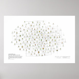 Affiche Ordres Naturels des Plantes - Ressemblances