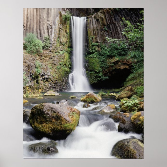 Affiche Oregon, Toketee Falls and basalt rock formations (Devant)