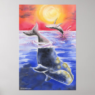 Affiche Oreille droite coucher de soleil océan