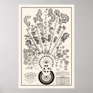 Affiche Org ferroviaire New York & Erie - Lumière - Plan