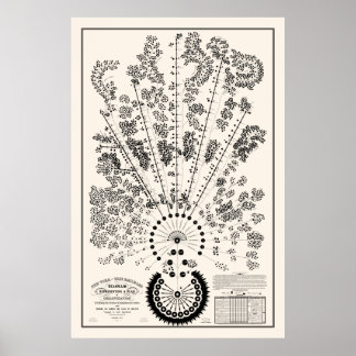 Affiche Org ferroviaire New York & Erie - Lumière - Plan