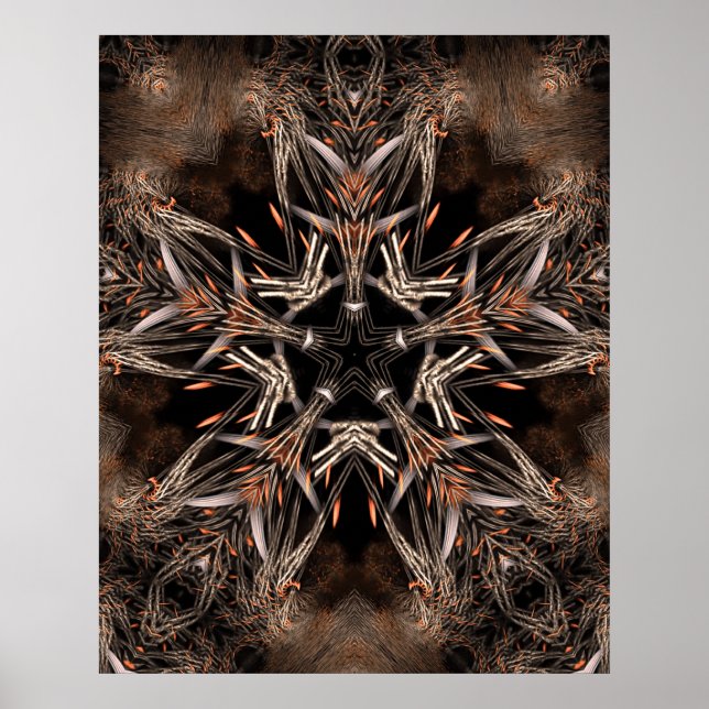 affiche organicstar (Devant)