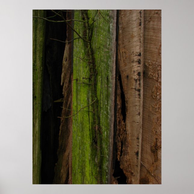 Affiche organique (Devant)