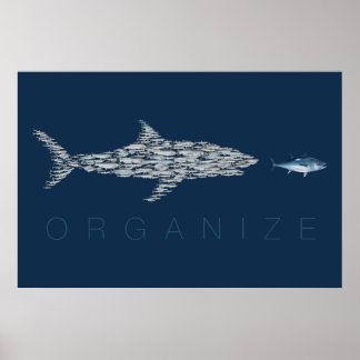 Affiche Organiser le poisson