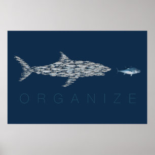 Affiche Organisez les poissons