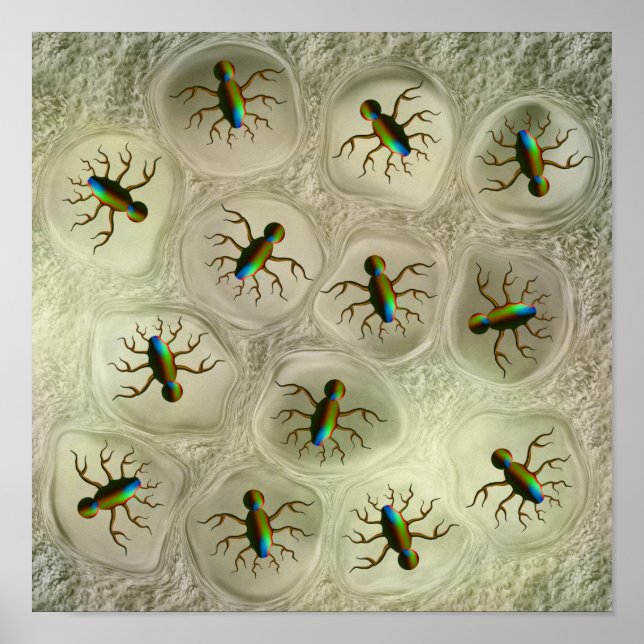 Affiche Organismes microscopiques abstraits dans une matri (Devant)