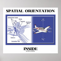 Orientation spatiale à l'intérieur (plan d'anatomi