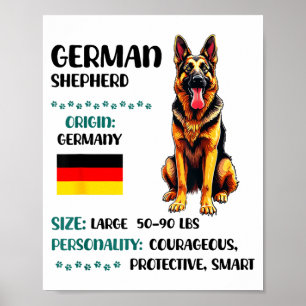 Affiche Origine Berger Allemand Drôle Amateur de Berger Al