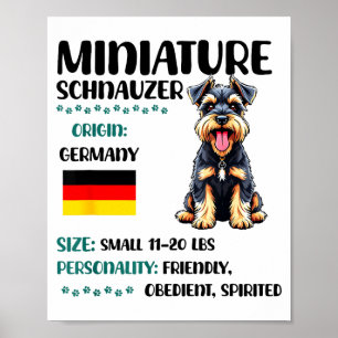Affiche Origine du Schnauzer nain Schnauzer mini drôle Lo