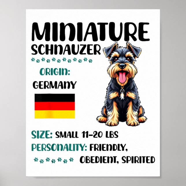Affiche Origine du Schnauzer nain Schnauzer mini drôle Lo (Devant)