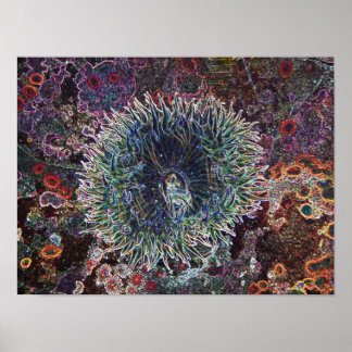 Affiche Origines cellulaires