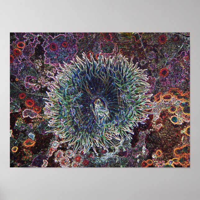 Affiche Origines cellulaires (Devant)