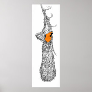 Affiche Oriole Nest