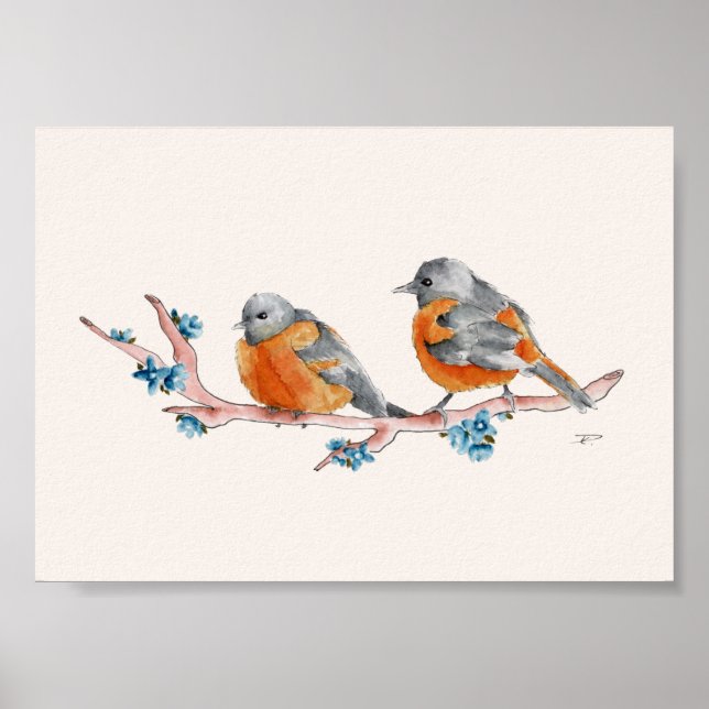Affiche Orioles aquarelles (Devant)