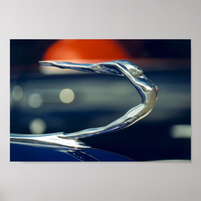 Affiche ornement (Devant)