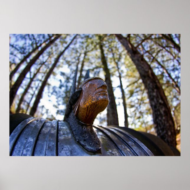 Affiche Ornement de la Hood indienne Pontiac (Devant)