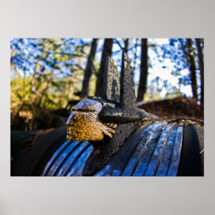 Affiche Ornement de la Hood indienne Pontiac