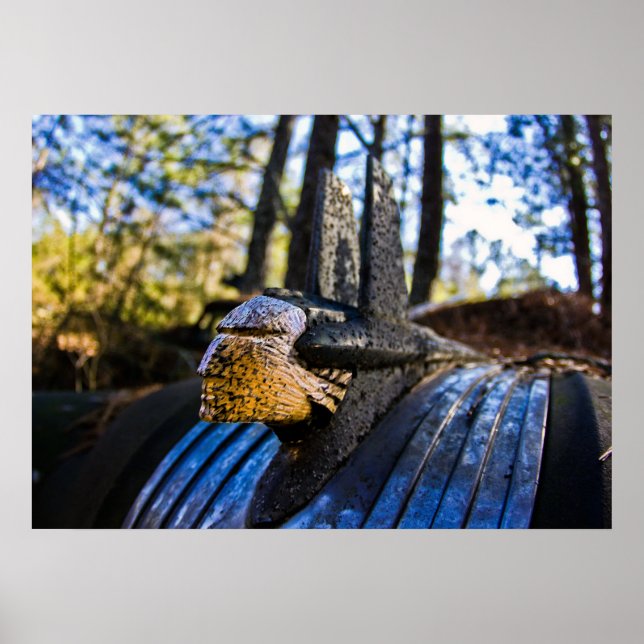 Affiche Ornement de la Hood indienne Pontiac (Devant)