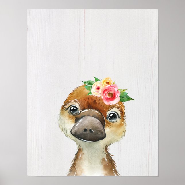 Affiche Ornithorynque Bébé Floral Aquarelle Animaux Austra (Devant)