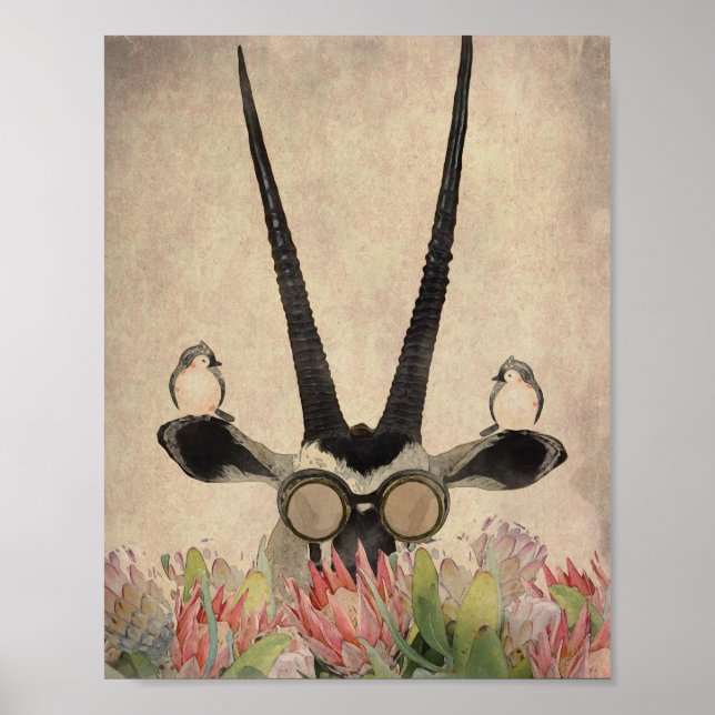 Affiche Oryx derrière les fleurs Protea (Devant)