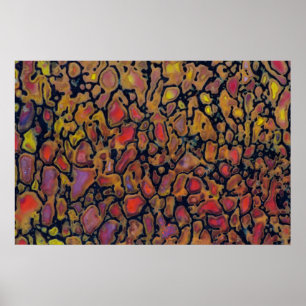 Affiche Os de dinosaure à motifs