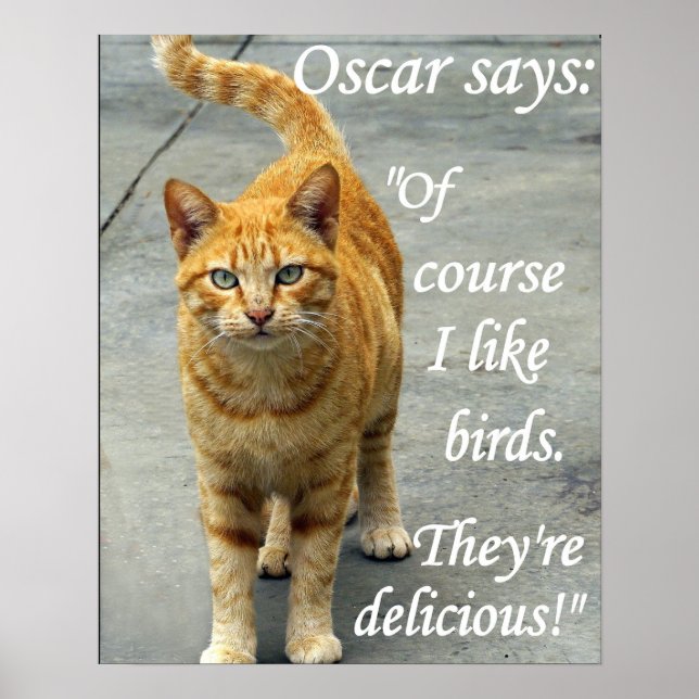 Affiche oscar aime les oiseaux (Devant)