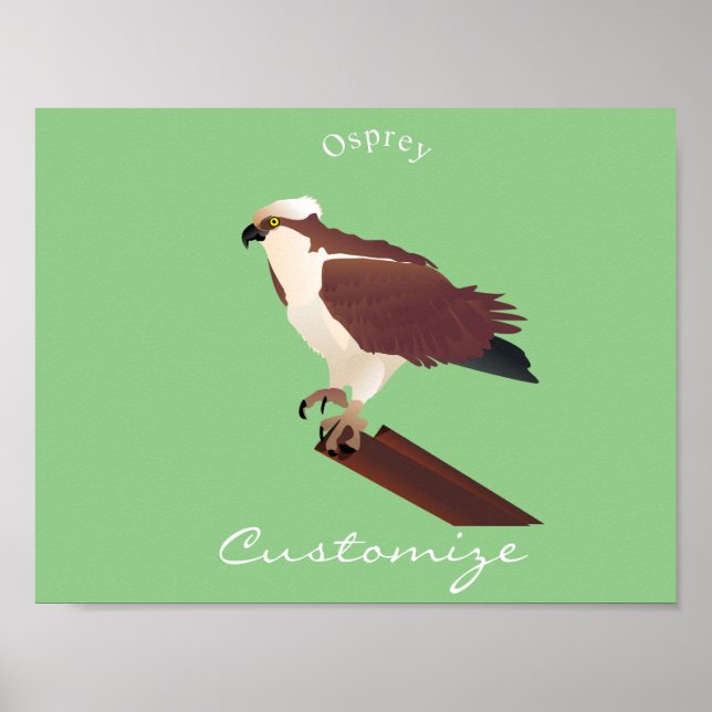 Affiche Osprey Hawk Raptor Thunder_Cove (Devant)
