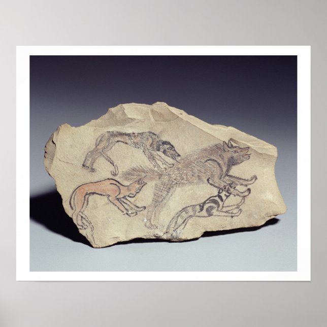 Affiche Ostracon depicting a dog chasing a hyena (limeston (Devant)