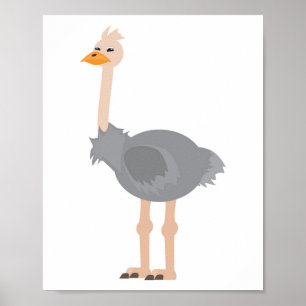 Affiche Ostrich