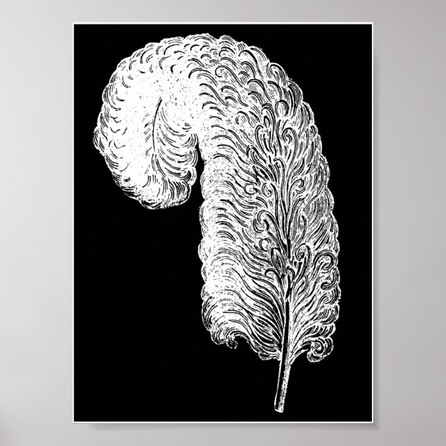 Affiche Ostrich Feather Print (Devant)