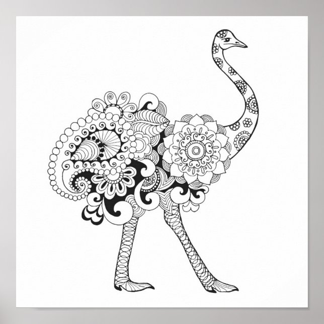 Affiche Ostrich inspiré 2 (Devant)