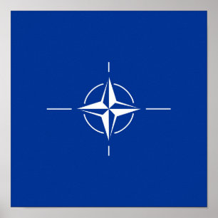 Affiche OTAN Atlantic Treaty Organization Allia