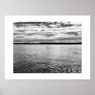 Affiche Otter dans la distance Photographie noir et blanc