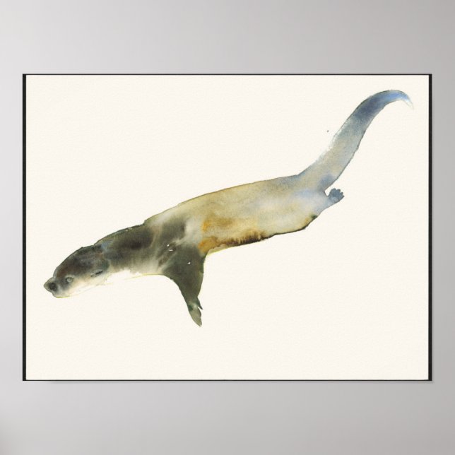 Affiche Otter européenne (Devant)