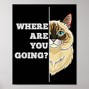 Affiche Où vas-tu drôle mignon Ragdoll chat animal humour