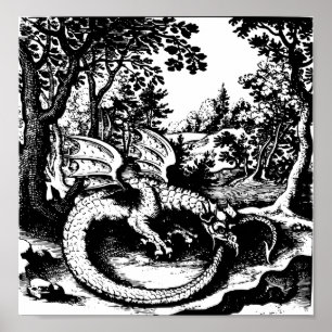 Affiche Ouroboros Dragon