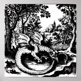 Affiche Ouroboros Dragon